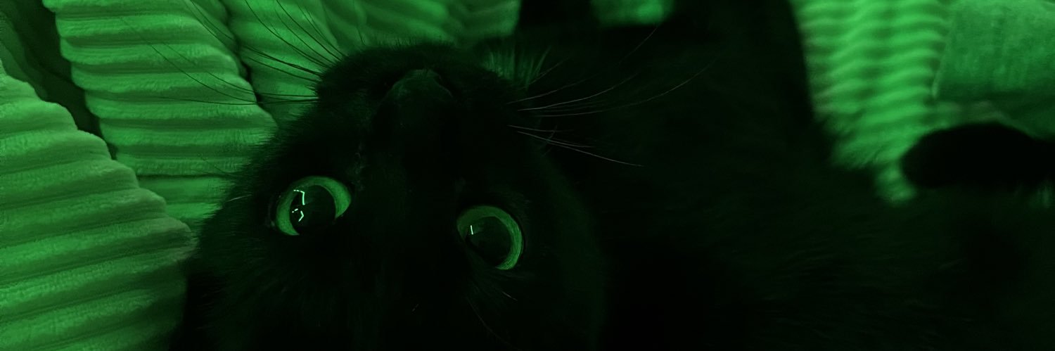 izzyhill716's profile banner image