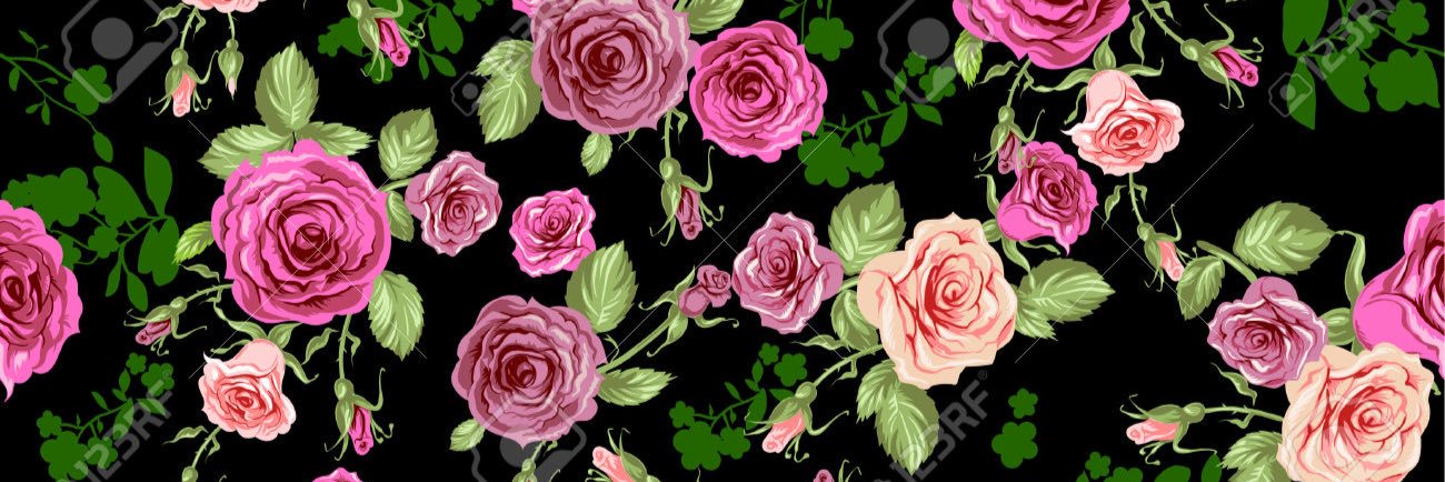 tropical_queenn's profile banner image
