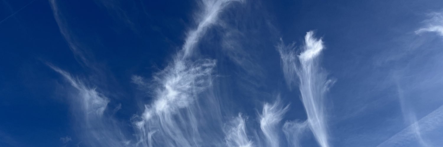 Grundmann_DD's profile banner image