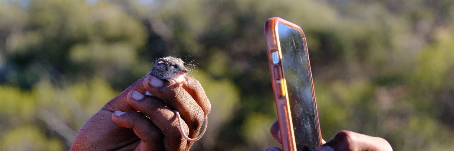 Alinytjara Wiluṟara Landscape Board banner