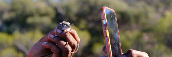 AWLandscapeSA Profile Banner