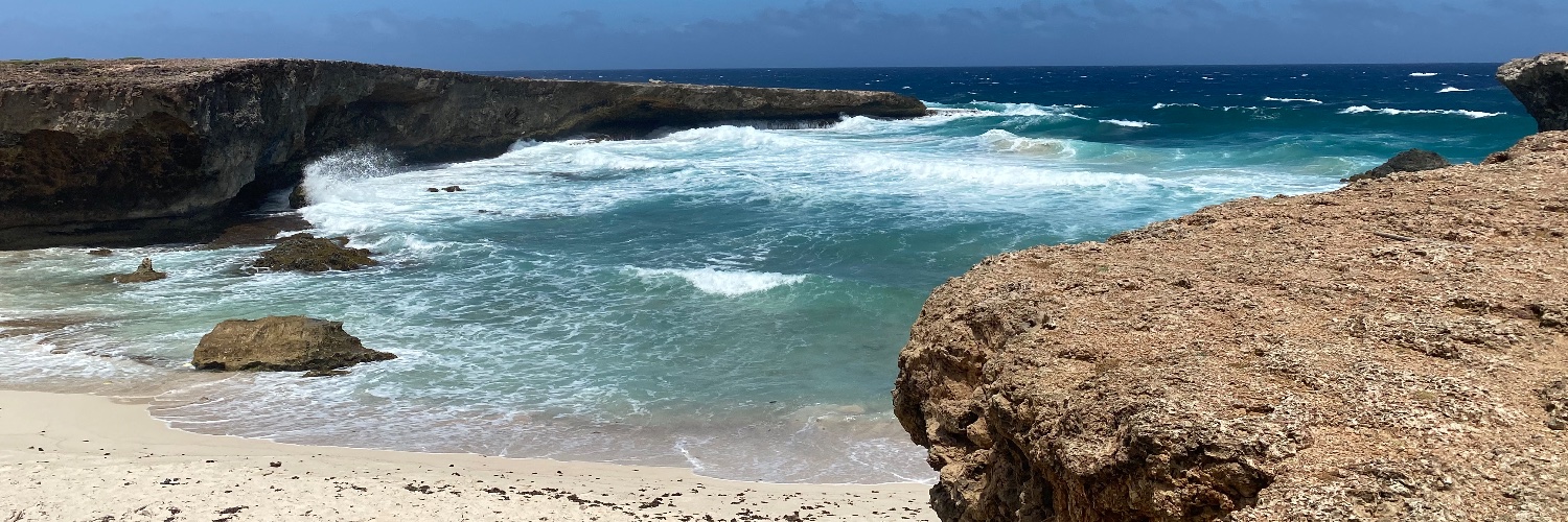 Jaime McDermott banner