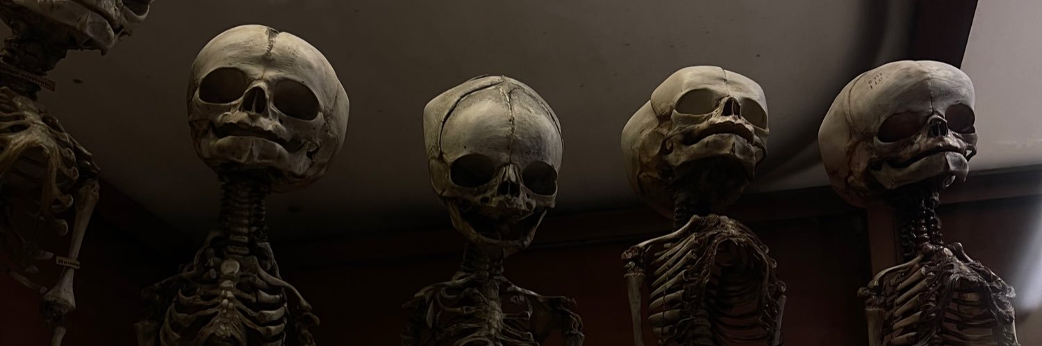 oceane_hrlt's profile banner image