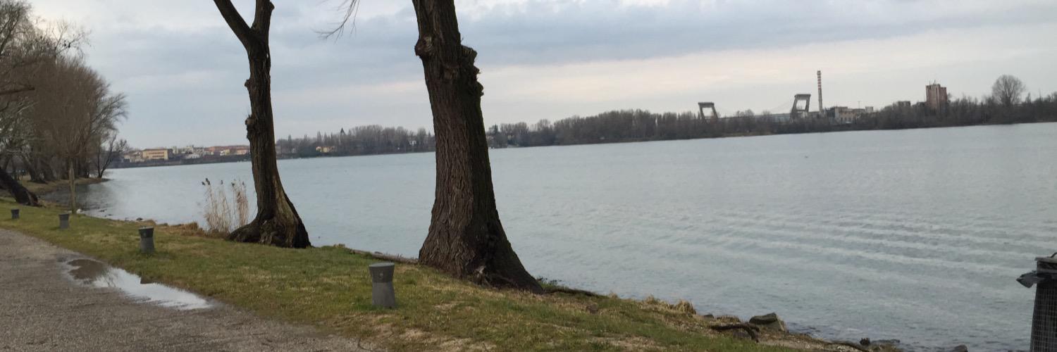 roberto_grassia's profile banner image