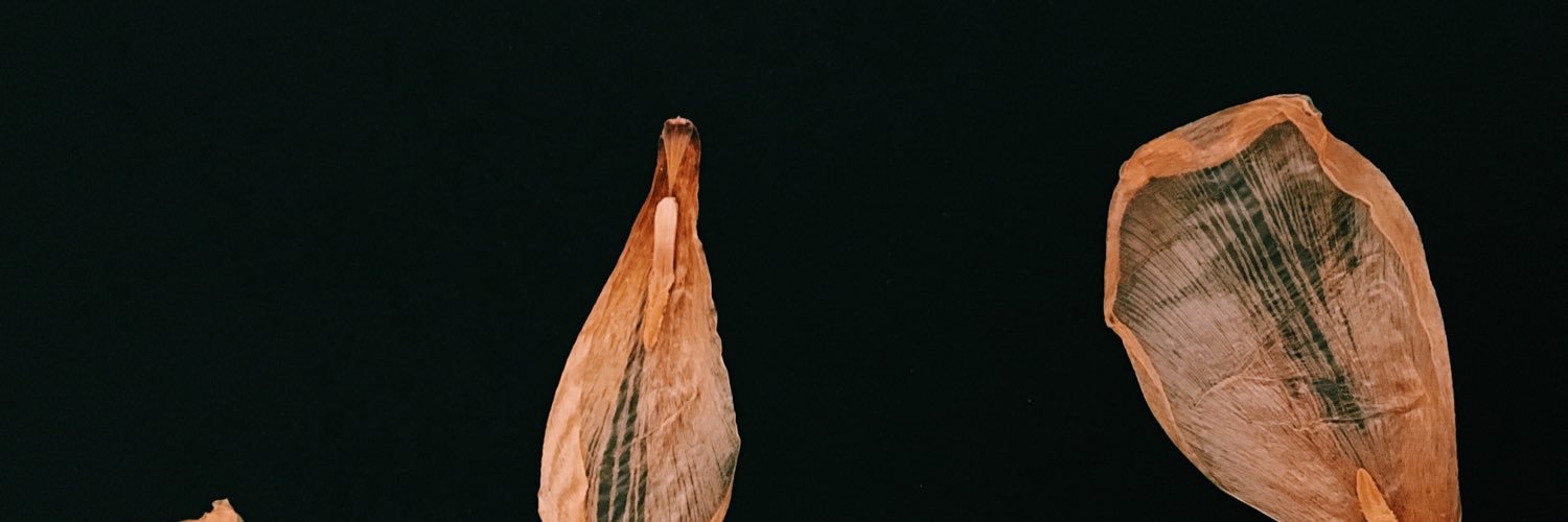 chrysaoraf's profile banner image