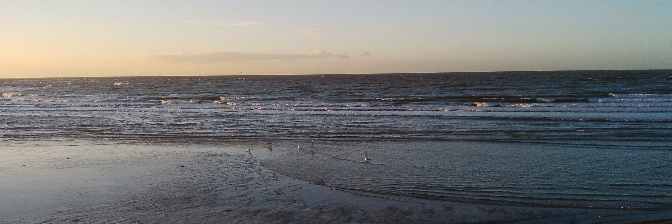 Mark__Whittaker's profile banner image