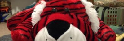 BSteffel's profile banner image