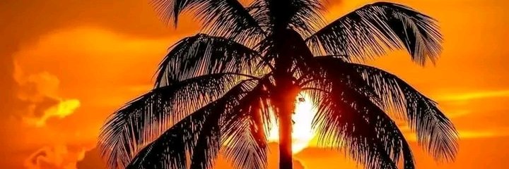 A_J_Largo's profile banner image