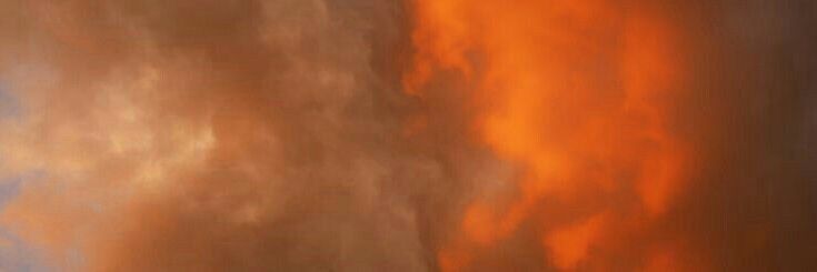 bea banner