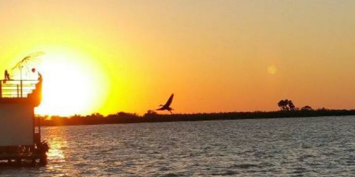 Chicho059810's profile banner image
