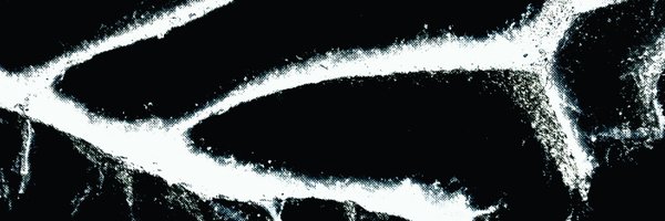 seefeel_signals Profile Banner