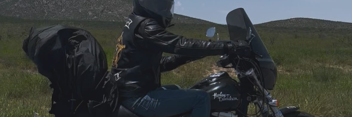 Lalocore's profile banner image