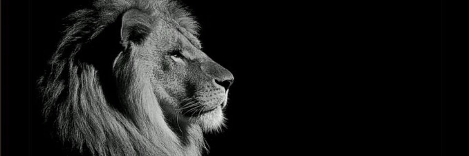 mattcush5's profile banner image