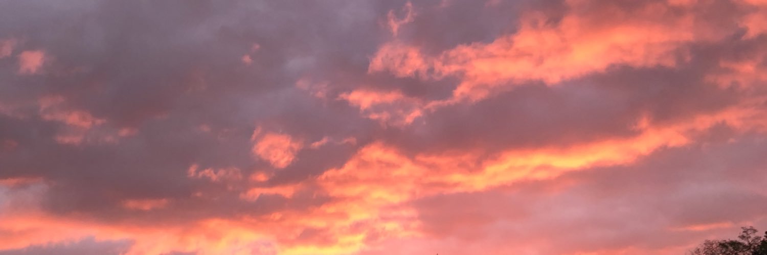 candevozzo_'s profile banner image