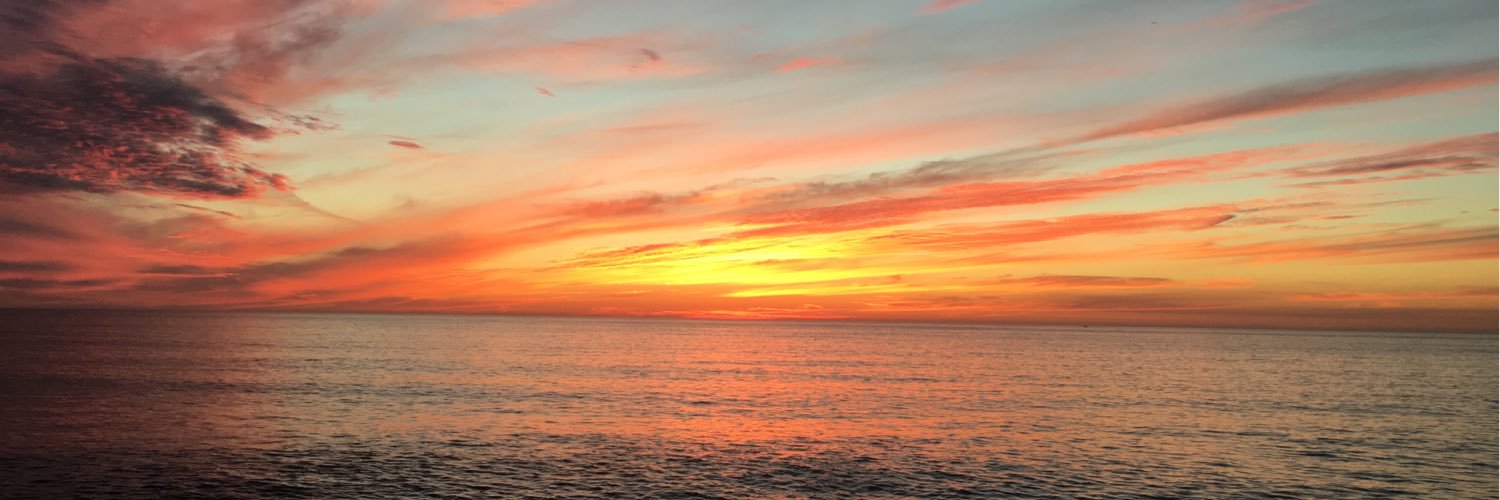 mrsposhei's profile banner image