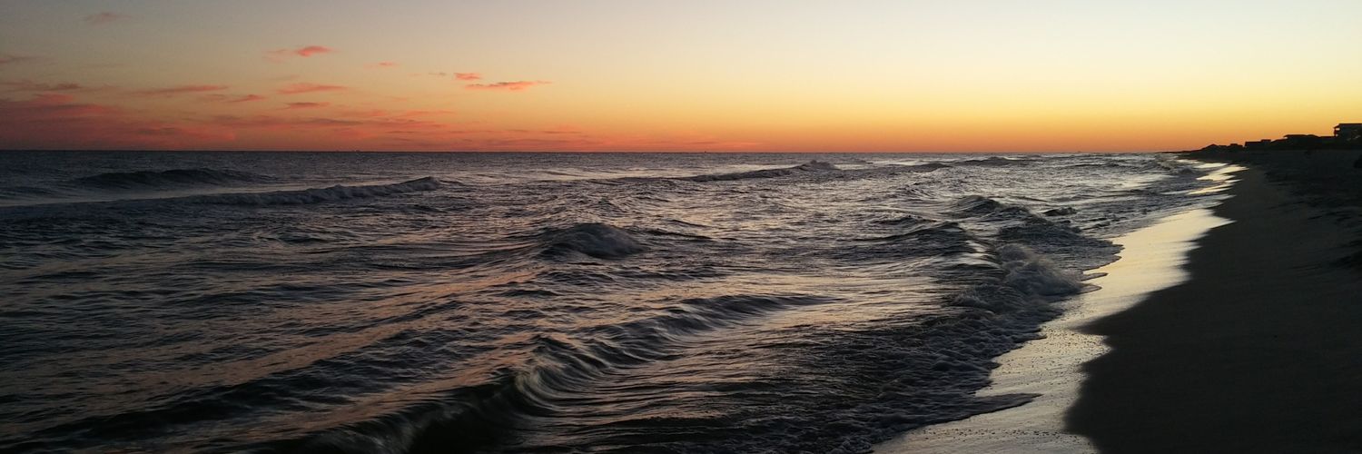 mlchesney's profile banner image