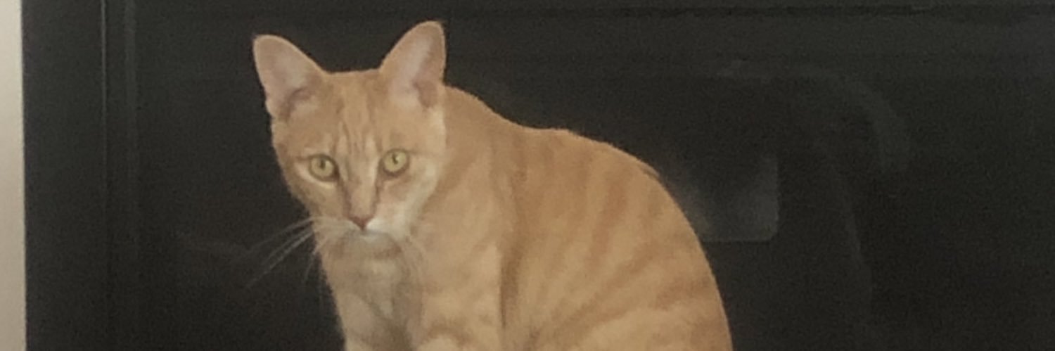 pillspramod's profile banner image