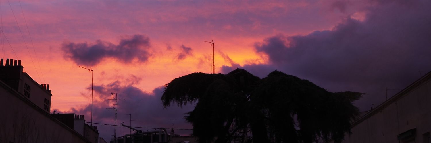 Lidia Cuevas banner
