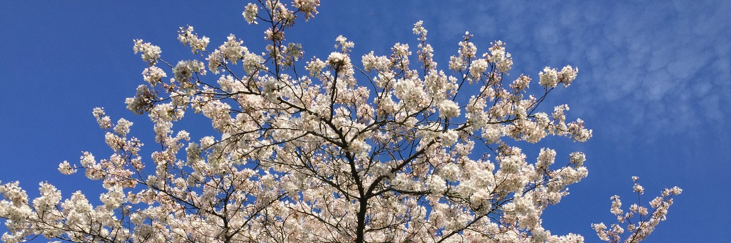 BenjaminLozanoW's profile banner image