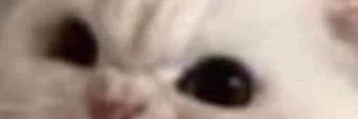 Princip3132's profile banner image