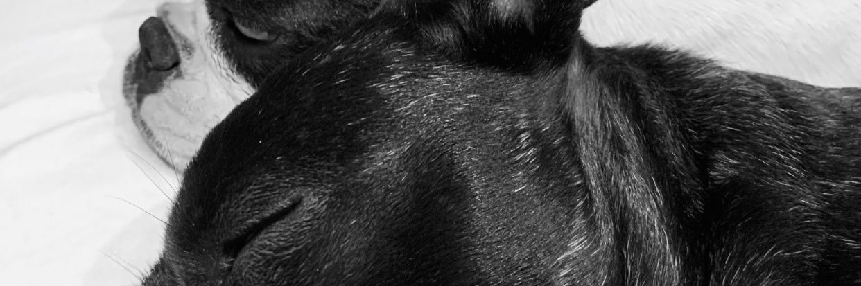 ariaanabravo's profile banner image