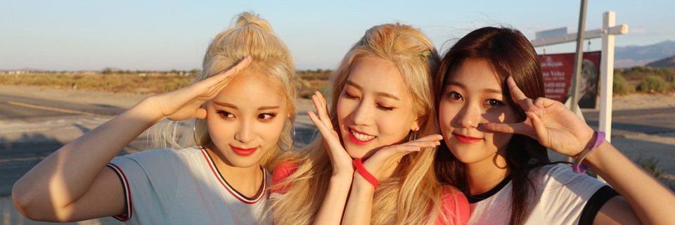 sherryhehe's profile banner image