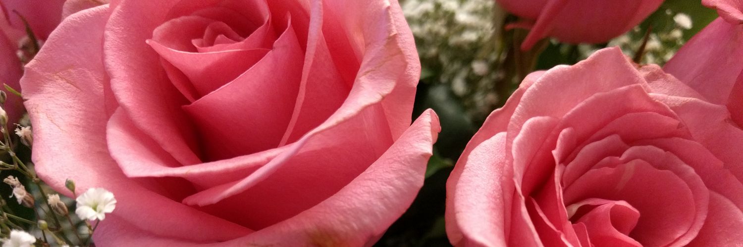KathyKarth's profile banner image