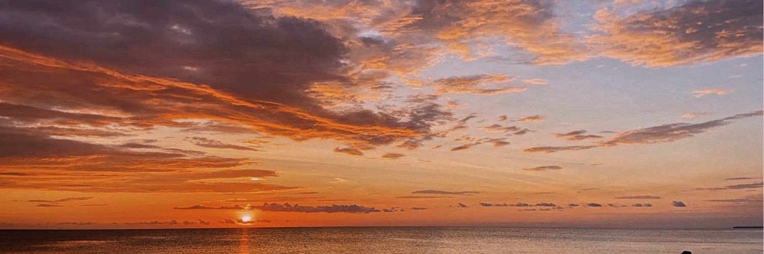 laurenbaileee's profile banner image