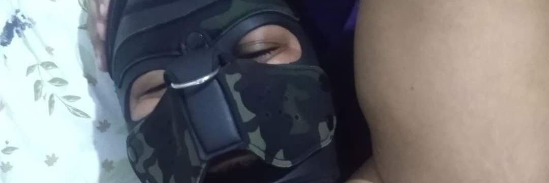 Dom Crossborne banner