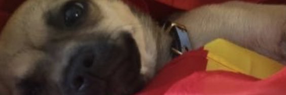 Samuelcolmena23's profile banner image