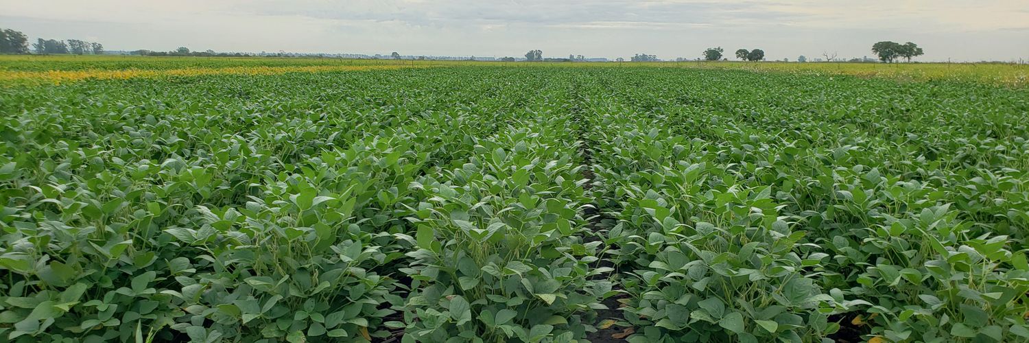 cecicolome's profile banner image