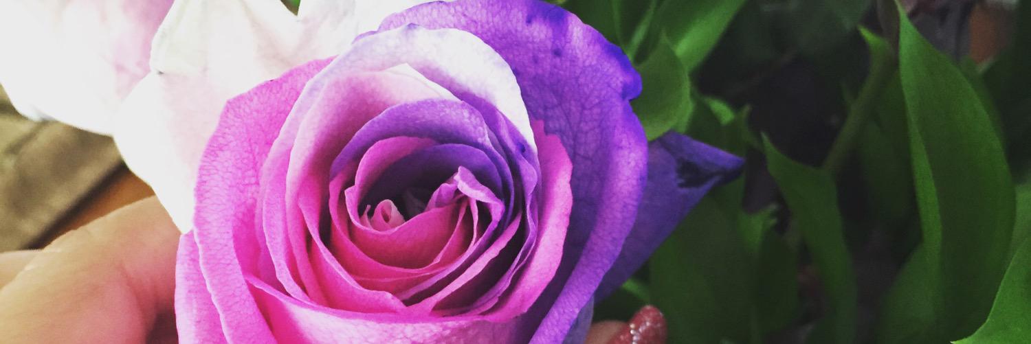 RodasHeidi's profile banner image