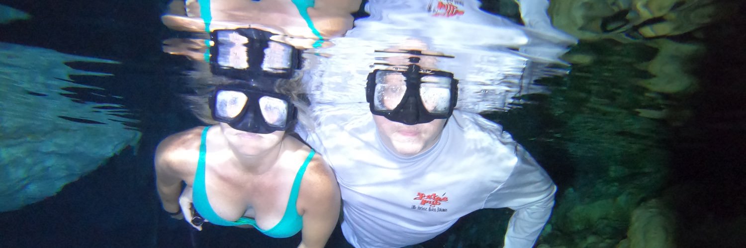 Mike Gillespie banner