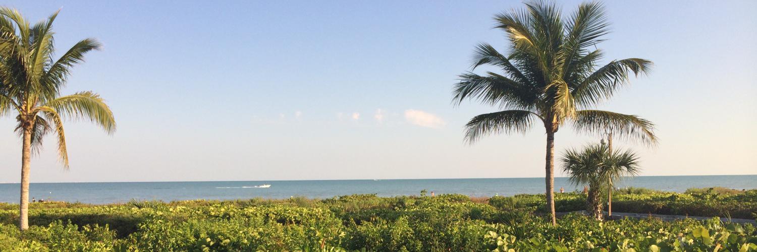 susanbravard's profile banner image