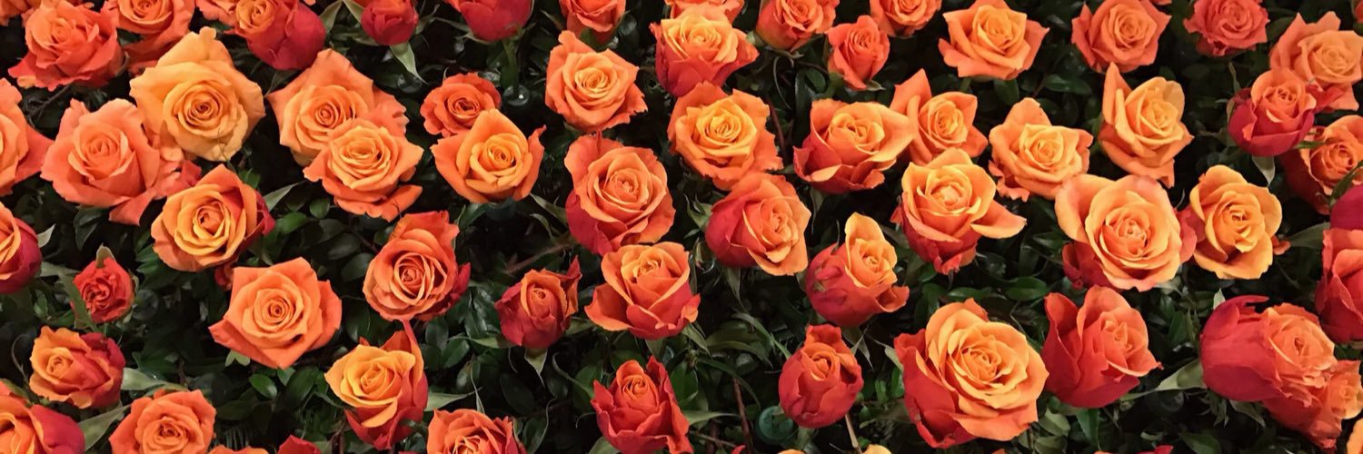anuja_chitale's profile banner image