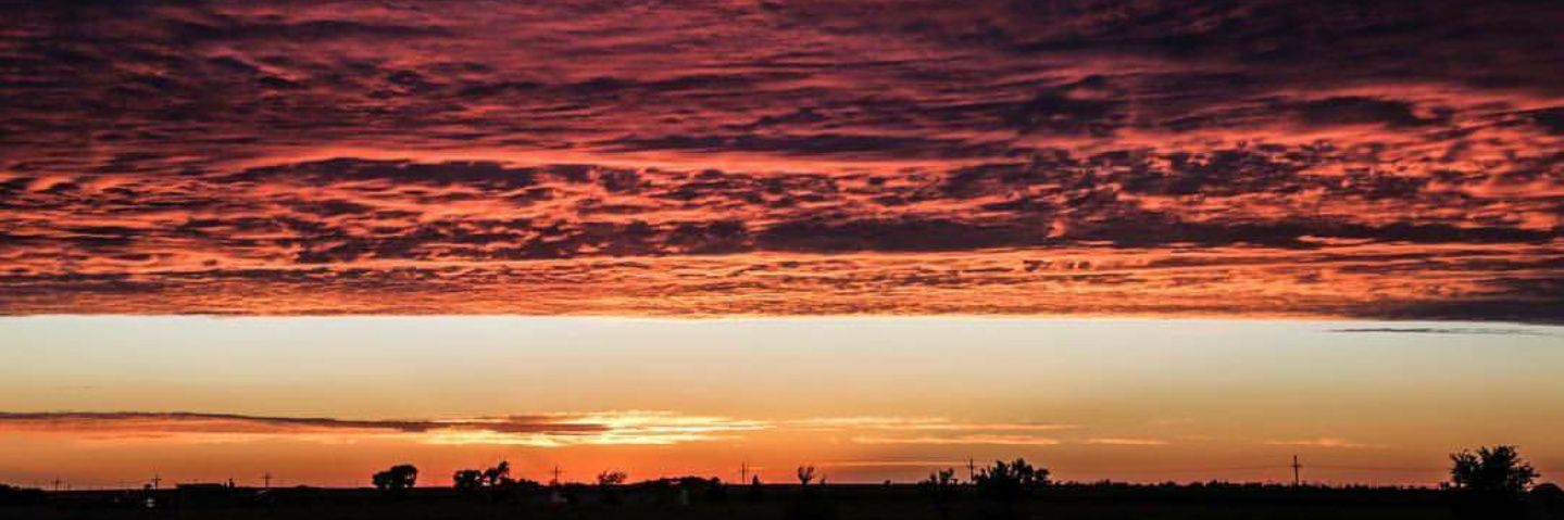 Alli_jones's profile banner image