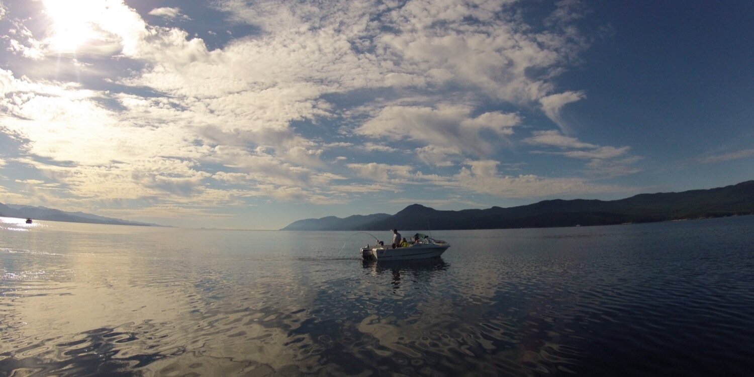 Tyee61's profile banner image