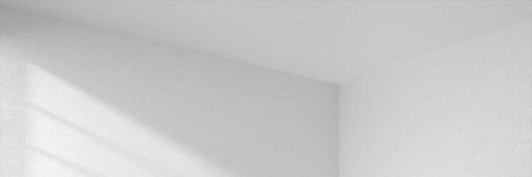 salimrpedro's profile banner image