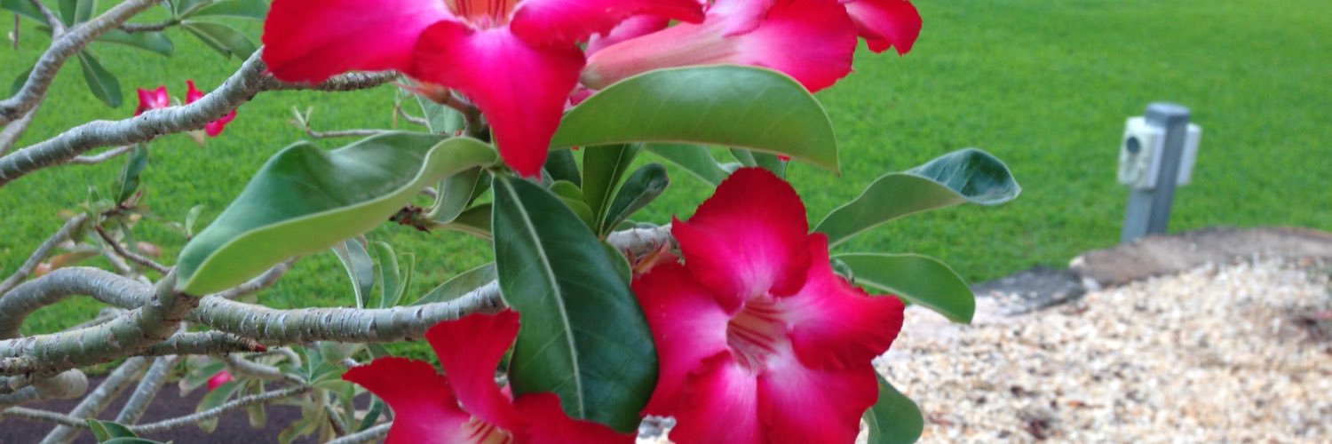 glenfish77's profile banner image