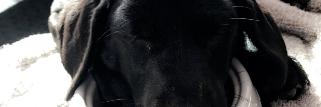 megstuttle's profile banner image