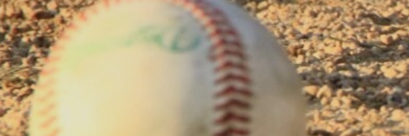 Baseballfan banner