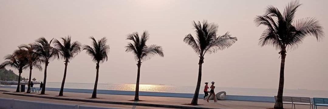annasalgado75's profile banner image