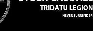 TridatuLegion's profile banner image