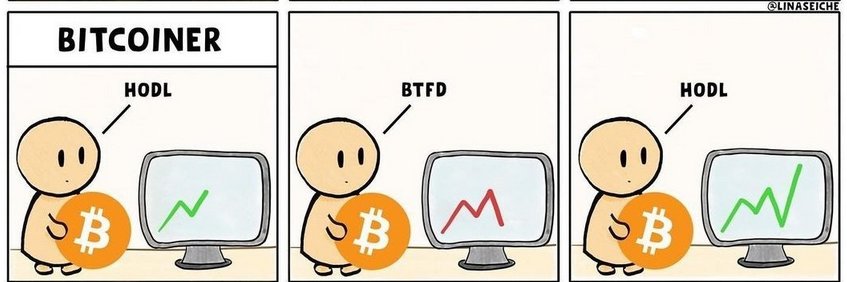 bitcointwist's profile banner image