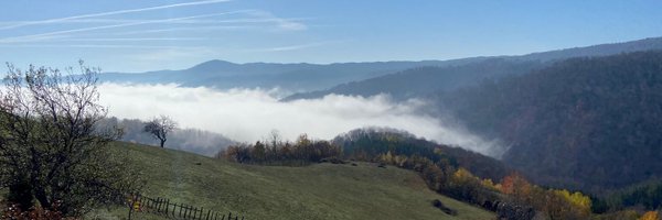 komita1981 Profile Banner