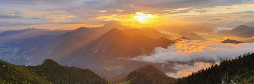 Philipp Springer banner