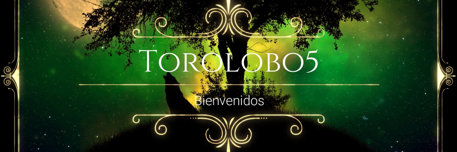 torolobo5's profile banner image