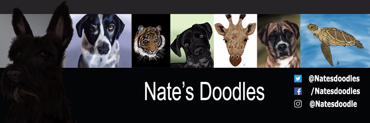 natesdoodles's profile banner image