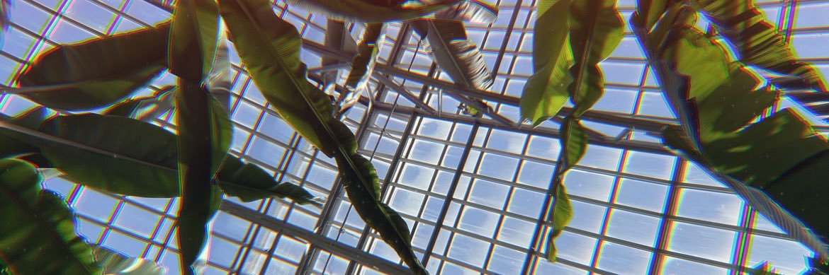 _sarachaa's profile banner image