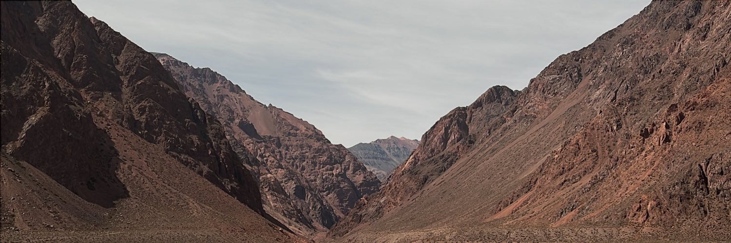 meliibertone's profile banner image